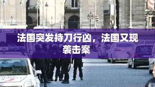 法国突发持刀行凶，法国又现袭击案 