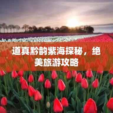 道真黔韵紫海探秘,绝美旅游攻略