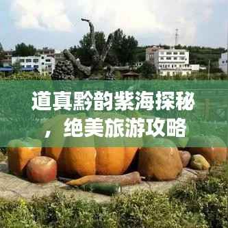 道真黔韵紫海探秘,绝美旅游攻略