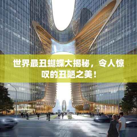 七上八下 第4页