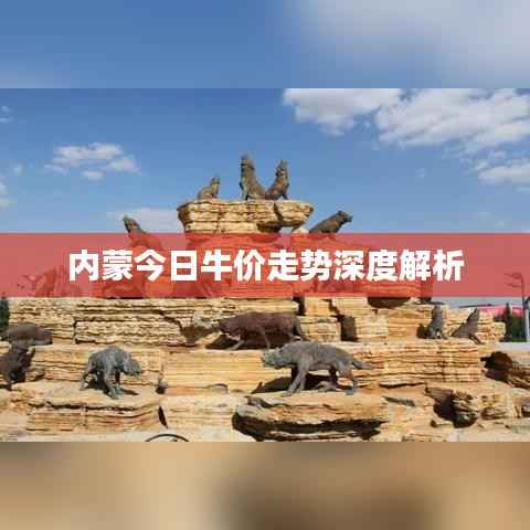 内蒙今日牛价走势深度解析