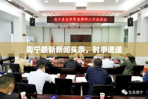 周宁最新新闻头条,时事速递