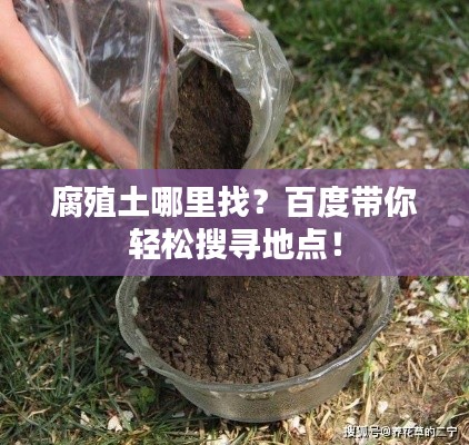 腐殖土哪里找?百度带你轻松搜寻地点!