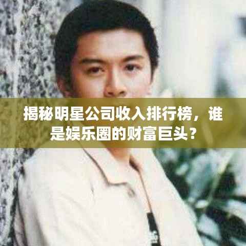 揭秘明星公司收入排行榜,谁是娱乐圈的财富巨头?