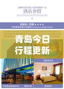 青岛今日行程更新，最新动态一网打尽