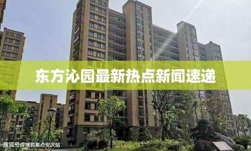 东方沁园最新热点新闻速递