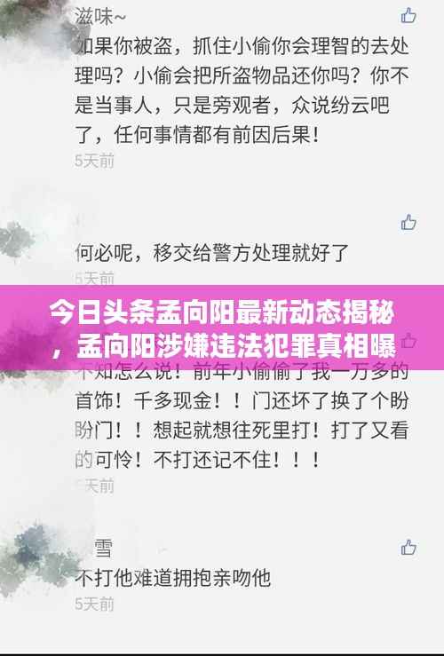今日头条孟向阳最新动态揭秘，孟向阳涉嫌违法犯罪真相曝光