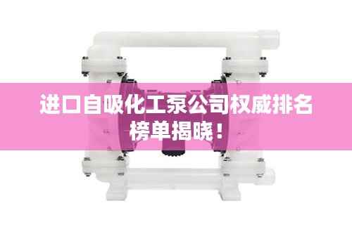 进口自吸化工泵公司权威排名榜单揭晓!