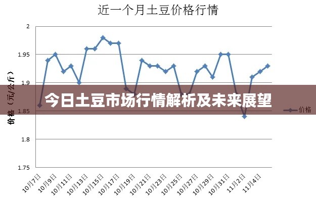 今日土豆市场行情解析及未来展望