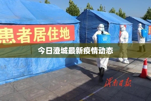 今日澄城最新疫情动态