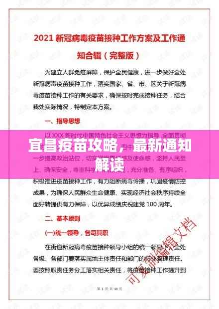 宜昌疫苗攻略，最新通知解读