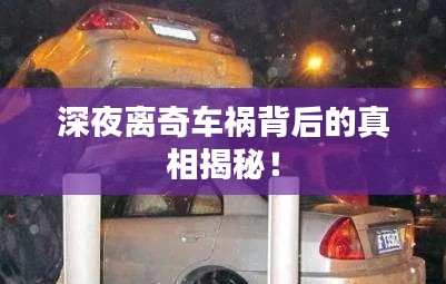 深夜离奇车祸背后的真相揭秘!