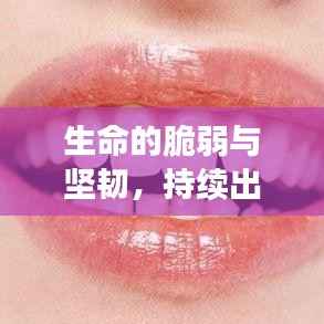 生命的脆弱与坚韧，持续出血的挑战与希望之路