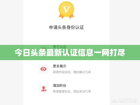 粗心大意 第3页