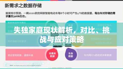 失独家庭现状解析，对比、挑战与应对策略