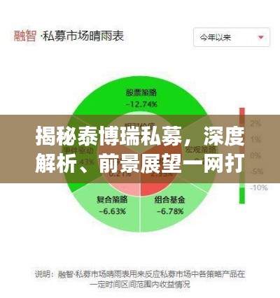 揭秘泰博瑞私募,深度解析、前景展望一网打尽!