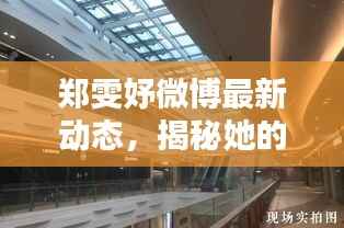 郑雯妤微博最新动态,揭秘她的日常与心声