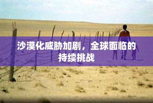 沙漠化威胁加剧，全球面临的持续挑战