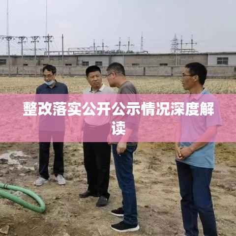 整改落实公开公示情况深度解读