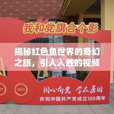 揭秘红色鱼世界的奇幻之旅,引人入胜的视频故事