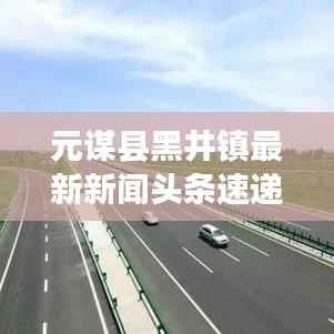 鸟集鳞萃 第4页