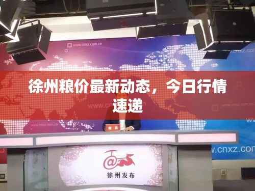 不飞则已 第3页