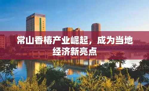 常山香椿产业崛起,成为当地经济新亮点