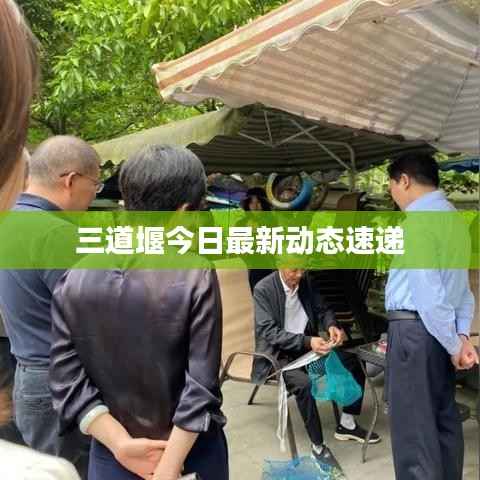 三道堰今日最新动态速递
