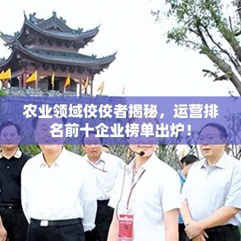 农业领域佼佼者揭秘,运营排名前十企业榜单出炉!
