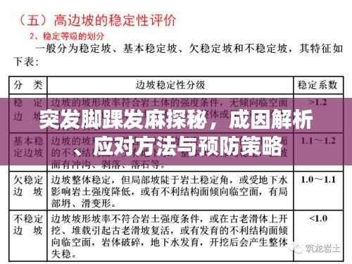 突发脚踝发麻探秘，成因解析、应对方法与预防策略