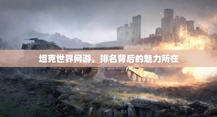 坦克世界网游,排名背后的魅力所在