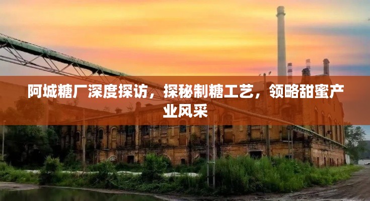 阿城糖厂深度探访,探秘制糖工艺,领略甜蜜产业风采