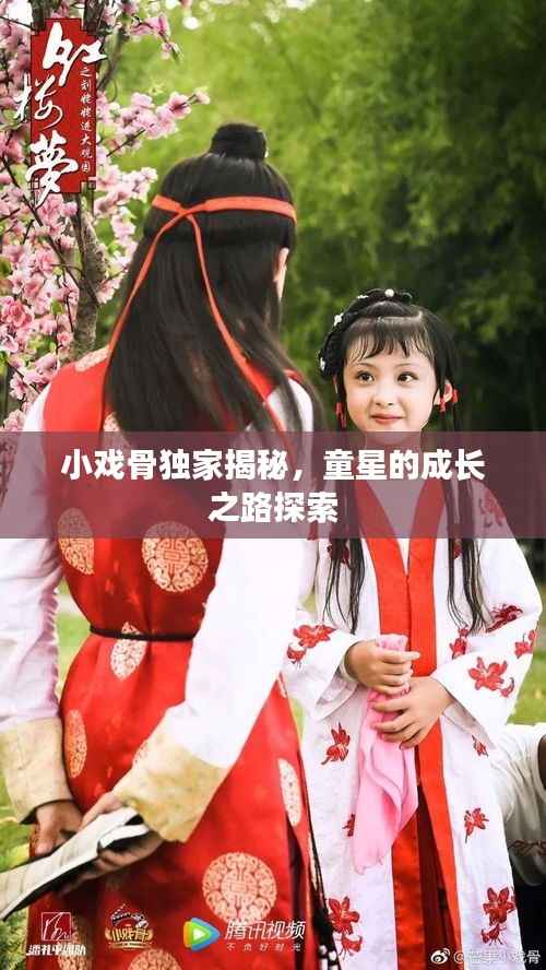 小戏骨独家揭秘，童星的成长之路探索