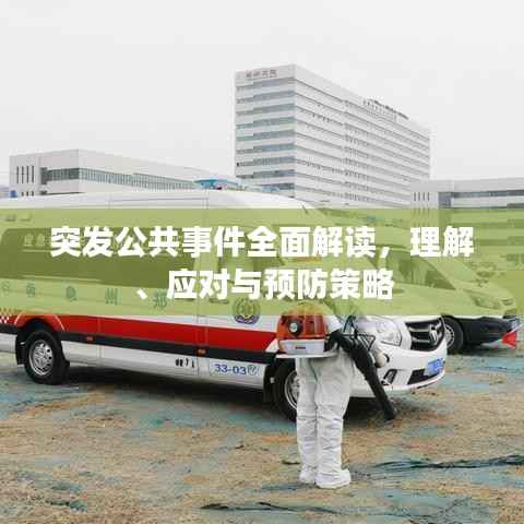 突发公共事件全面解读，理解、应对与预防策略