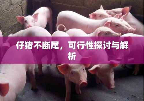 口若悬河 第3页