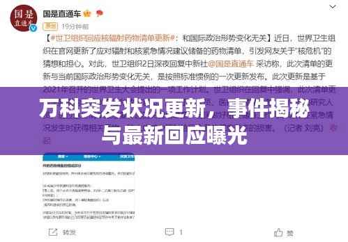 鸷鸟不群 第3页