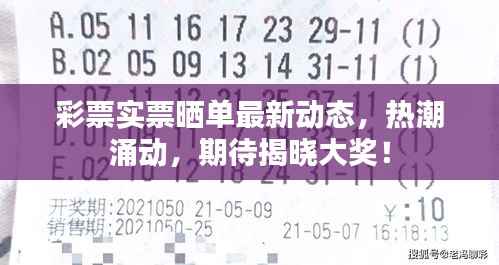 彩票实票晒单最新动态，热潮涌动，期待揭晓大奖！
