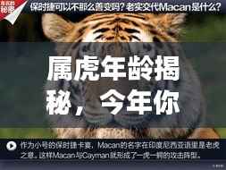 属虎年龄揭秘,今年你几岁了?百度来解答!