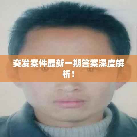 突发案件最新一期答案深度解析!