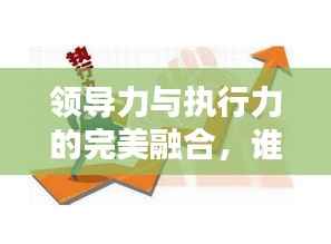 领导力与执行力的完美融合,谁牵头抓落实?
