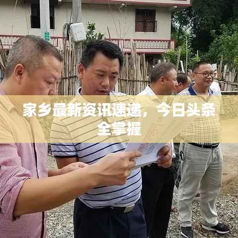 家乡最新资讯速递,今日头条全掌握