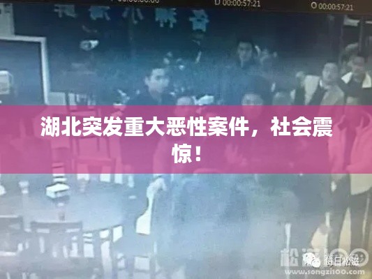 弃文就武 第2页