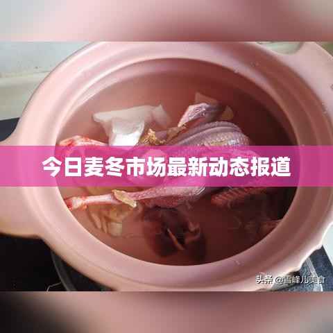 今日麦冬市场最新动态报道