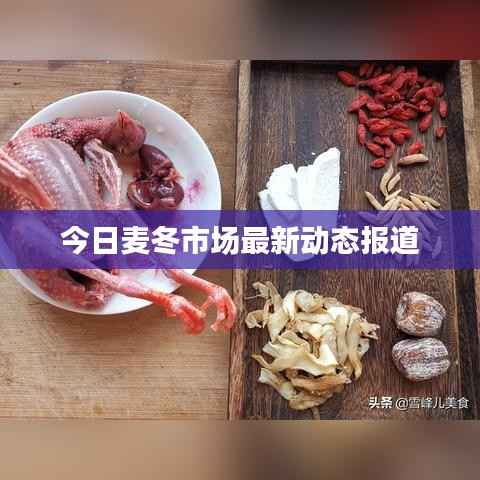 今日麦冬市场最新动态报道