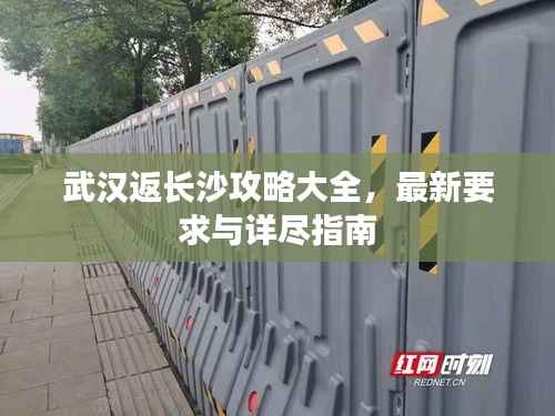 笔走如飞 第3页