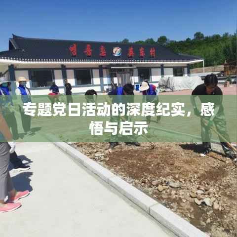 专题党日活动的深度纪实,感悟与启示