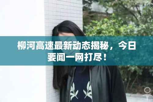 柳河高速最新动态揭秘,今日要闻一网打尽!
