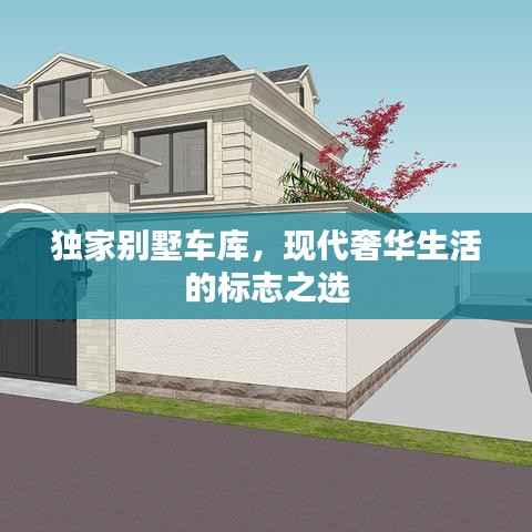 坌鸟先飞 第3页