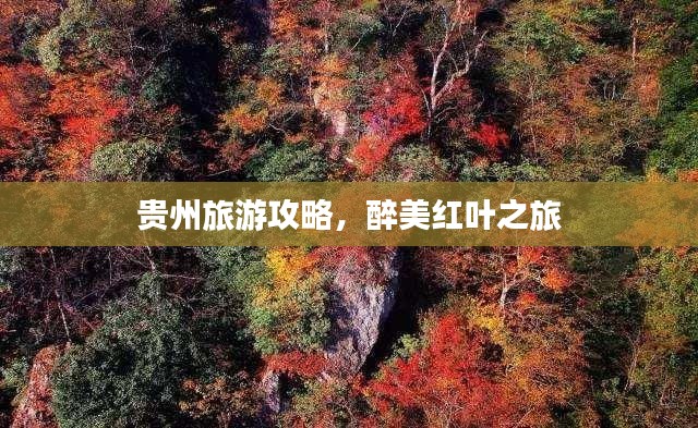 贵州旅游攻略,醉美红叶之旅