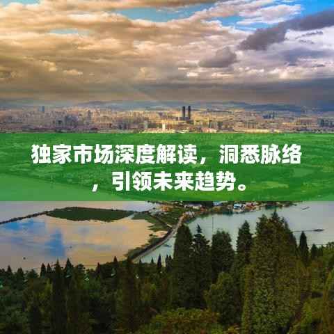 独家市场深度解读，洞悉脉络，引领未来趋势。